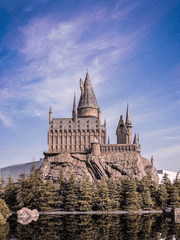 사랑에 대한 부정의 시작과 끝