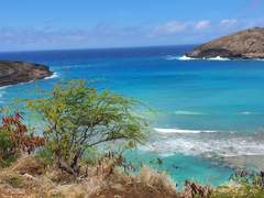 하와이 여행기 3