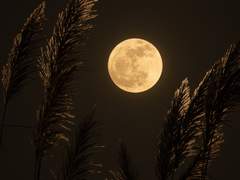 선인은 악인이 될 수 있는가?