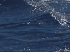 당신의 팀을 선택하세요