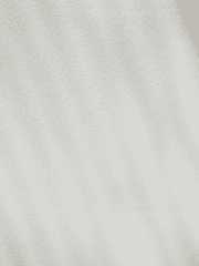 기타 애니메이션