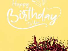 happy birthday to you