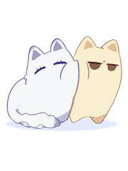 데못죽 고양이 썰/글 모음