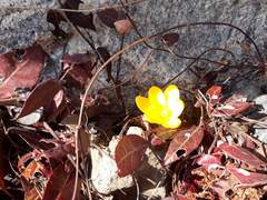 따스한 햇빛과 새들의 향연