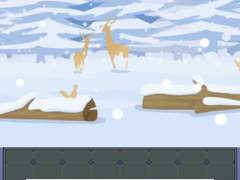 5부 <돌아온 뿌요퀘의 세계> 제5장 :: 눈보라에 맞서는 날개의 조건 (4)