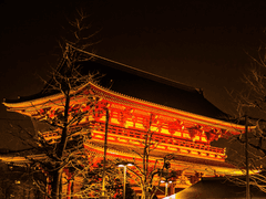 그 녀석과 일본 여행 3