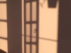 그늘을 벗어나 햇볕을 안으며