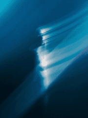 어깨 너머 낙원