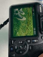 지구는 둥글어서