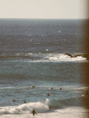 호명은 곧 그리움