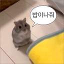 김수한무거북이어쩌구