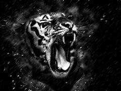 호랑이의 중얼거림