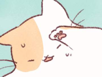 소파 위 고양이 13화