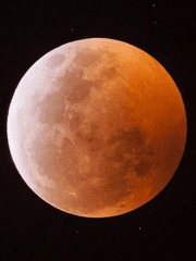 2. Backstory Profile