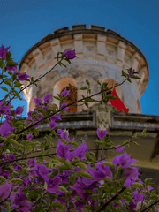 the gardener of the cursed mansion