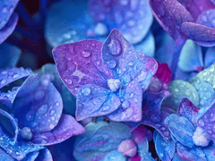 천은려 / 19 / 풍원고