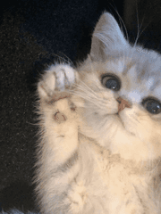 공고 꼴통 김여주