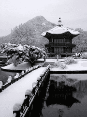 어느 왕세자의 순정