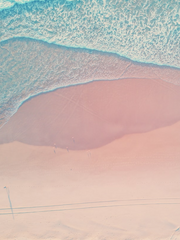 네트워크 수산, 우리도 행복해질 수 있어