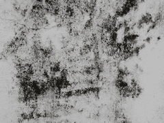 [&소우타/늑대수인과 연구원AU]