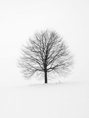 예정과 미정 그리고 애정