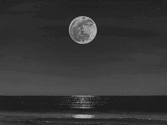 혁명의 시작과 끝