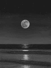 보름달이 뜨는 밤