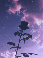 지독한 쾌락주의의 아타락시아