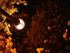 키스하고 싶어!