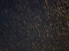 과일가게에 나타나는 계절감 엉망 그 사람