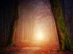 [D&D] Magic Village for sale, Magic is free!