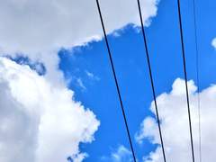 「綠陰芳草」 Aиsωєʀ Lღɢ