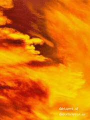 (편집중) 짧글모음