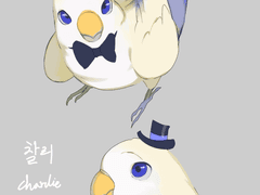 찰리/앵무새