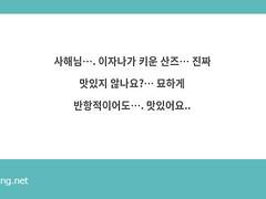 20220813 누가 키우냐에 따라 달라지는 산즈