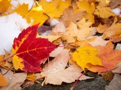 [다카사] 계절을 덧칠하면