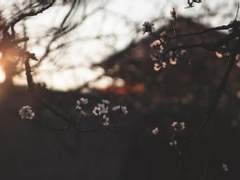 [화산귀환] 밥값