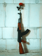 한색의 마피아, 그눈에 비치는것은.