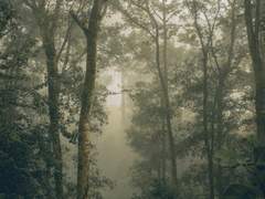 00. 태양신의 가장 빛나는 조각