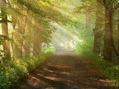 [옐냇] 어느 아침