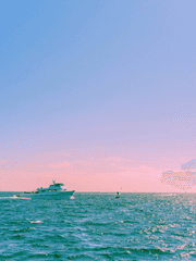 원피스 글 모음