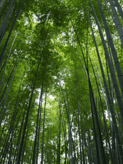 리(利)에 평온을, 휴식을