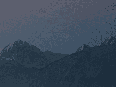 어느 겨울의 기록