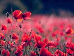 화내지 마세요!