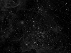 [Cygnus Black X Alphard Black] (Let us be brothers again like the first time/ 1/ ??)