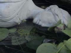 [진키드] 불가사리의 바다