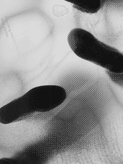 씬케이스 SCENE CASE