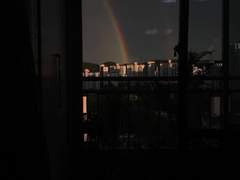 [무슈텔]-신혼여행 타로 백업