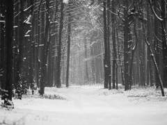 진혼 : 雪墓 (눈의 무덤)