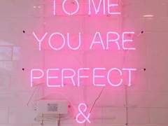 핑크 인싸 여우